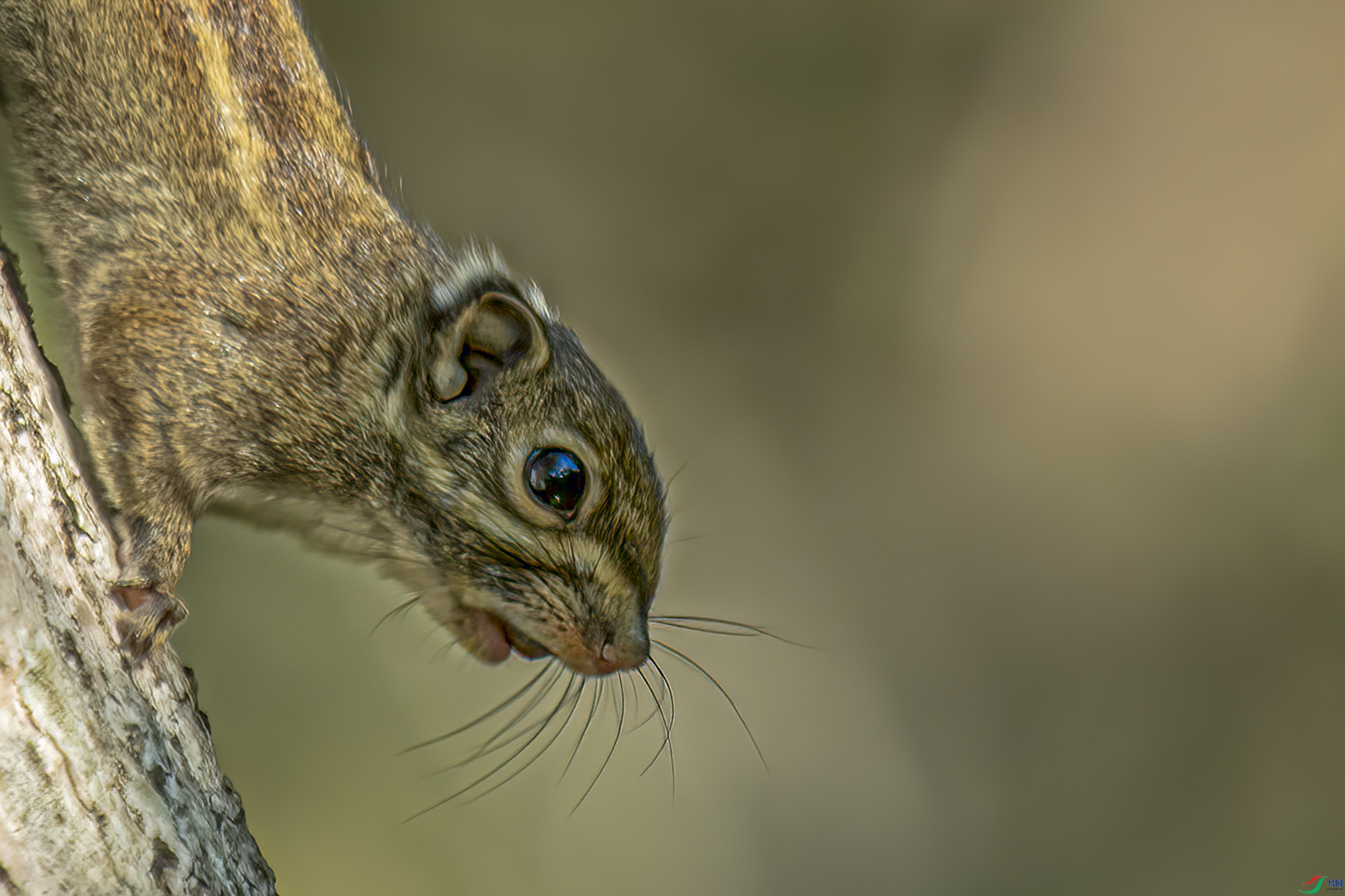 DSC_3148.jpg