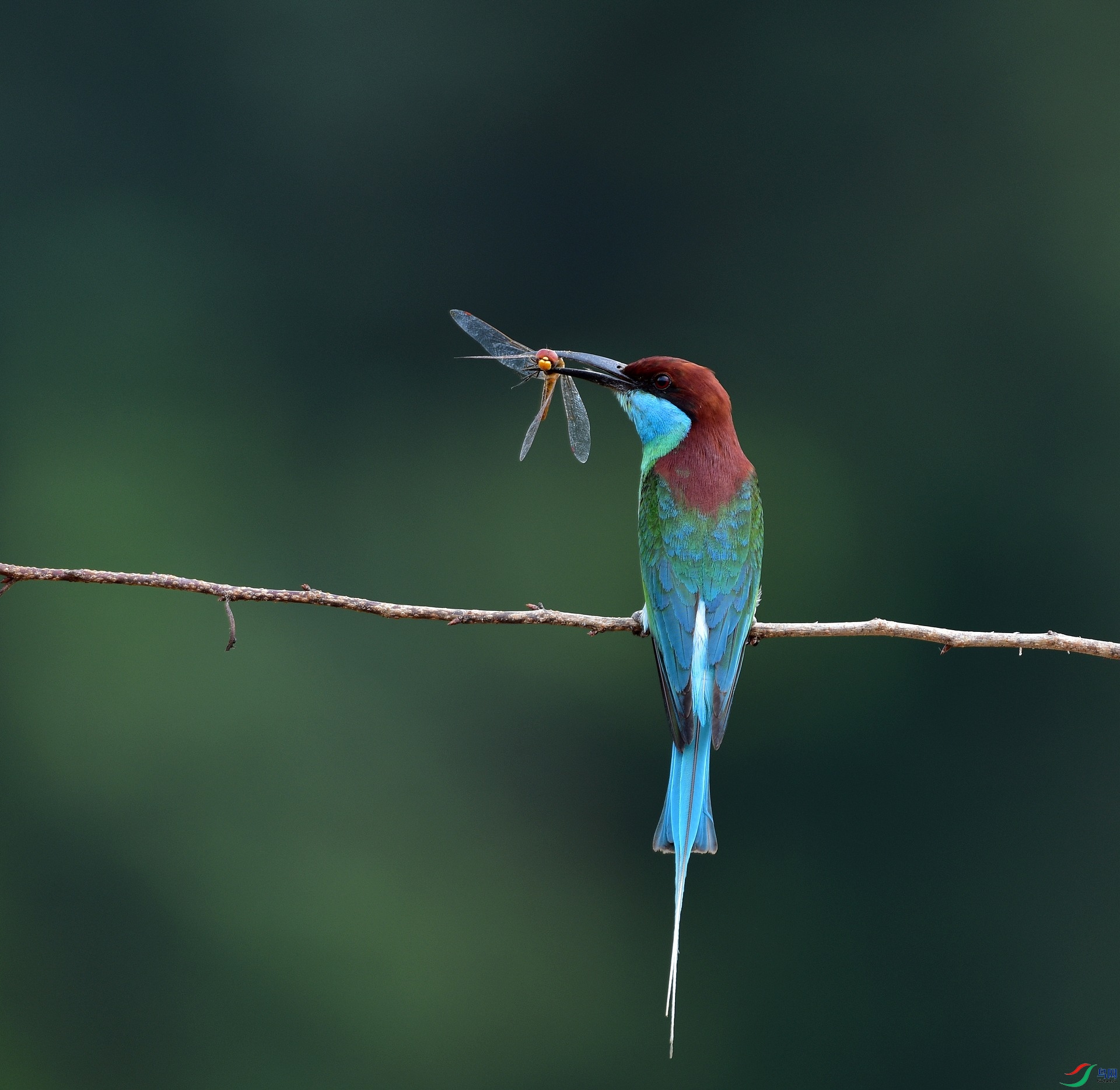 D8I_5678.jpg