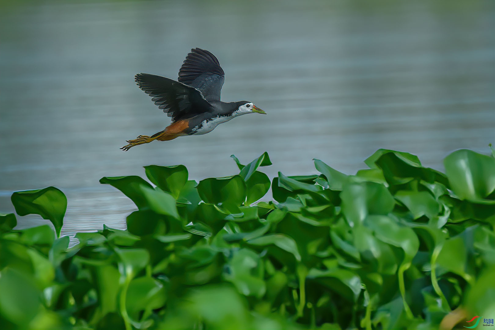DSC_5572.jpg