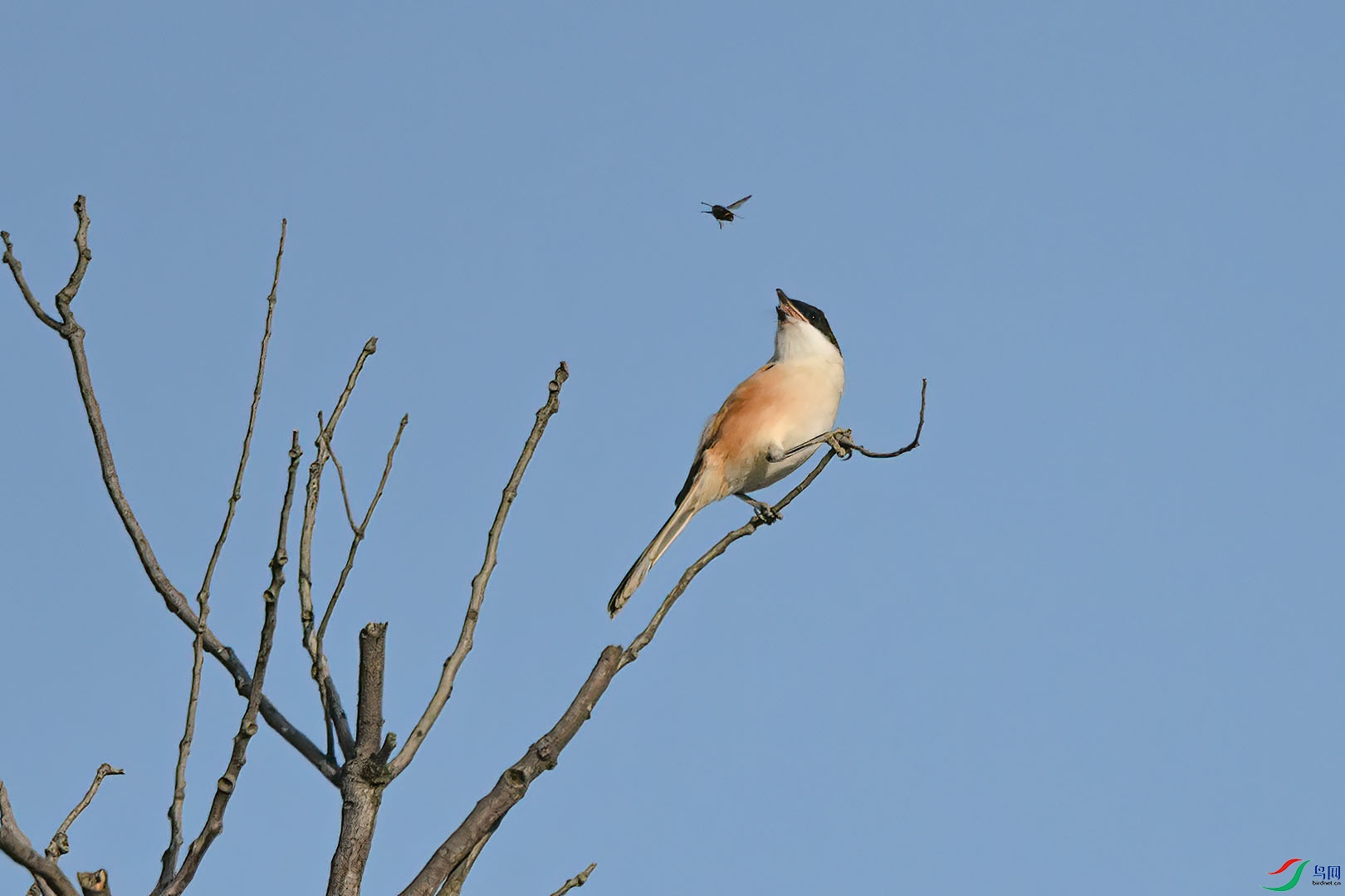 DSC_7672.jpg