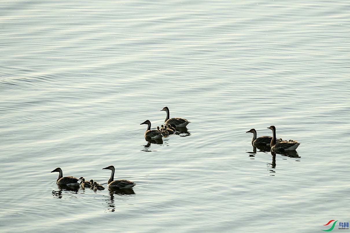 _DSC5639.jpg