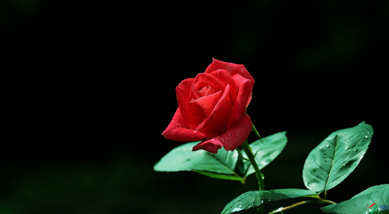 ��Ϧ�ڿ���