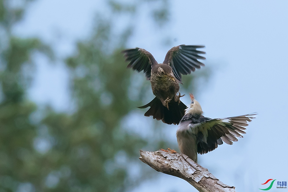 DSC05210 ���� 2.jpg