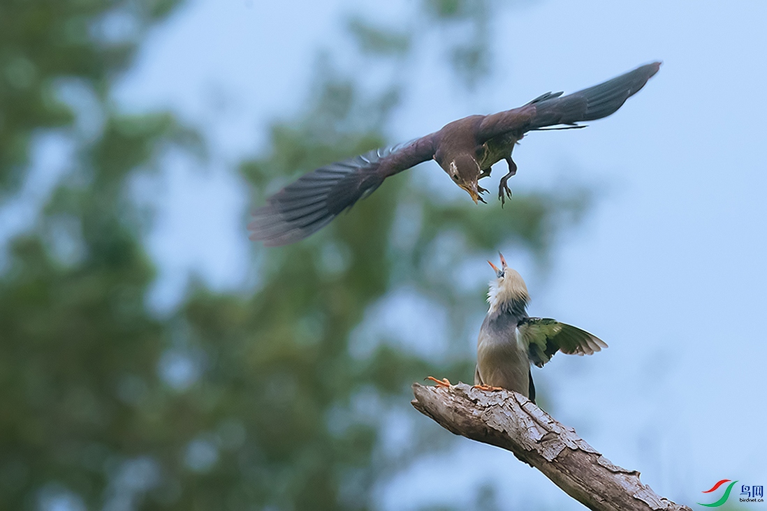 DSC05207 ���� 2.jpg