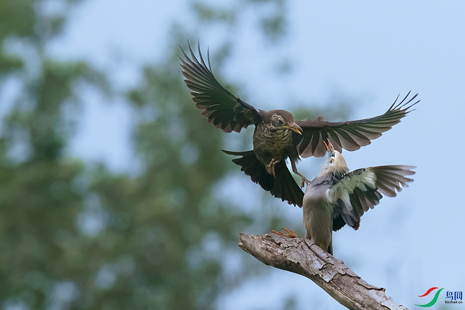 DSC05211 ���� 2.jpg