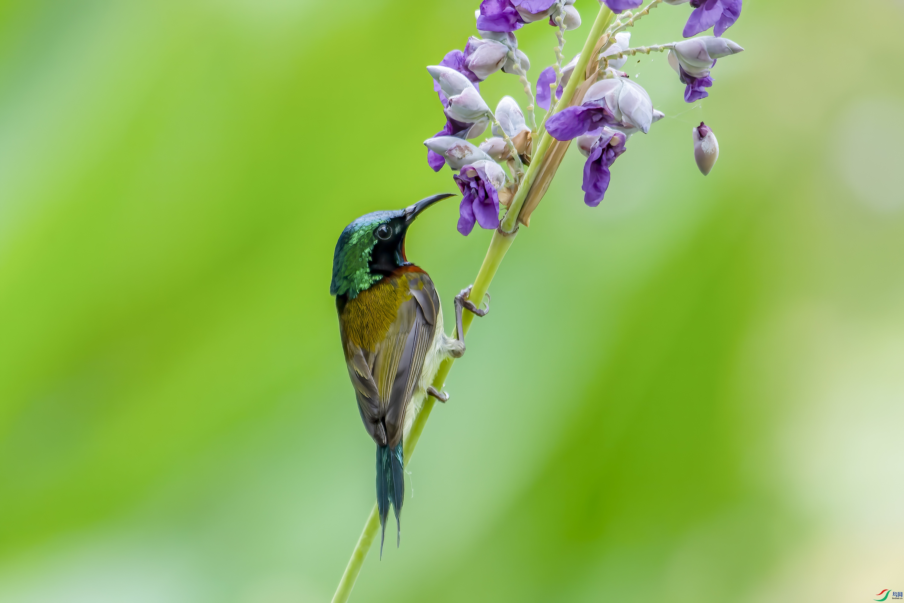 DSC_3027-2.jpg