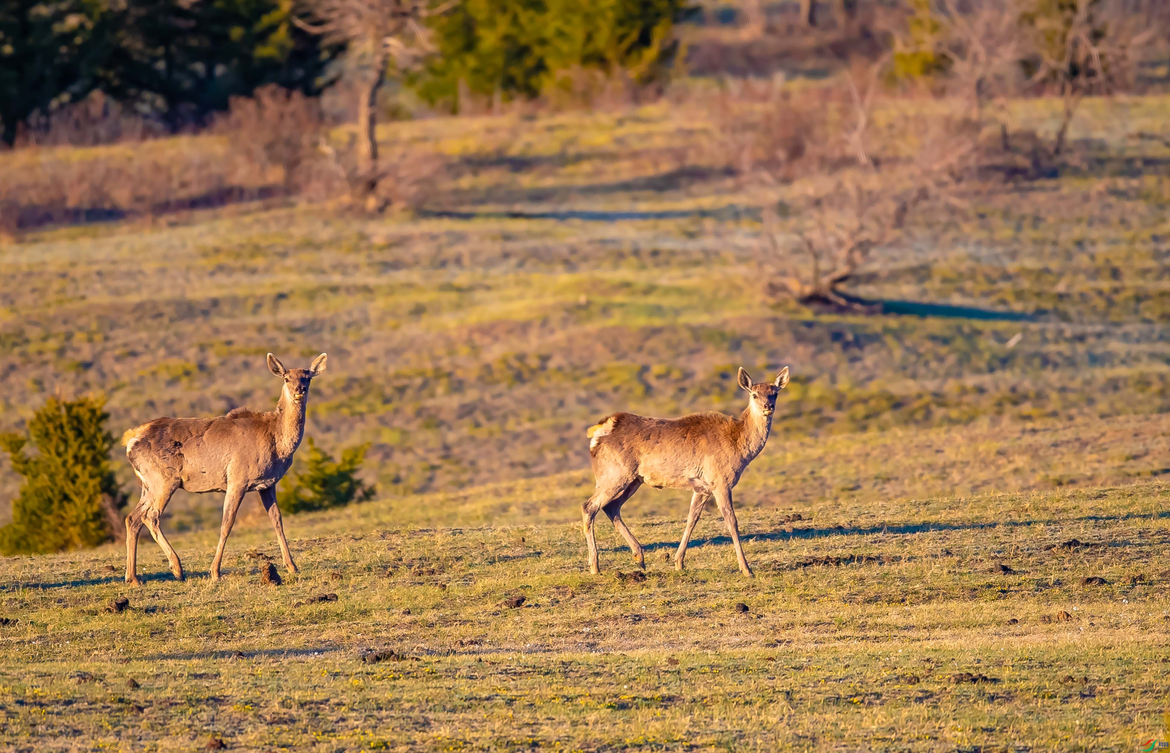 DSC_7054.jpg