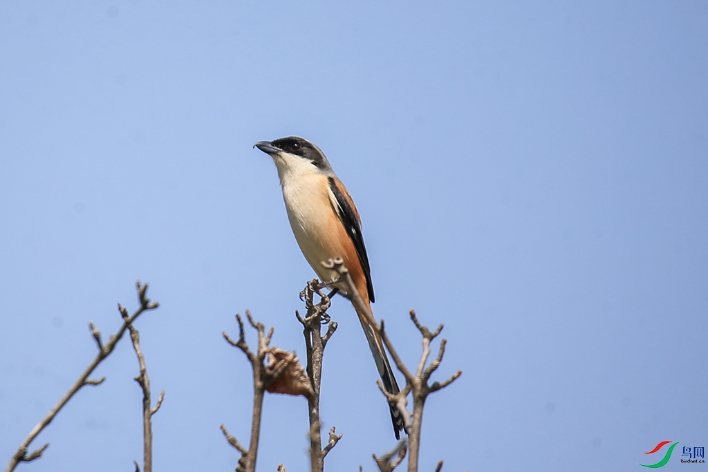 48.jpg