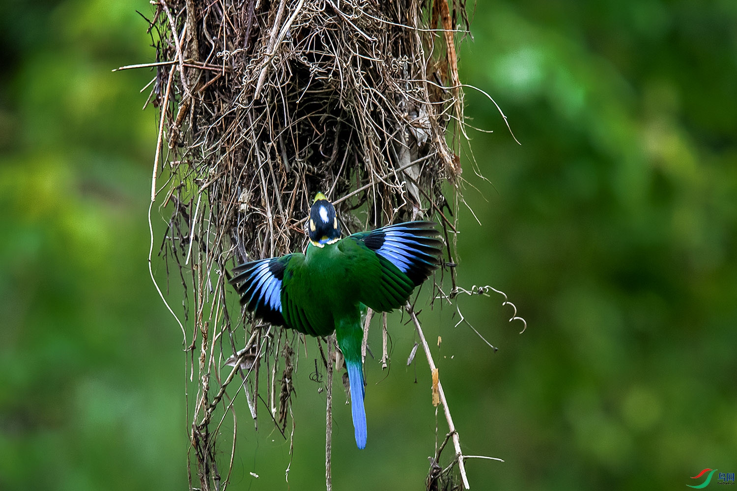 DSC_7139aa.jpg