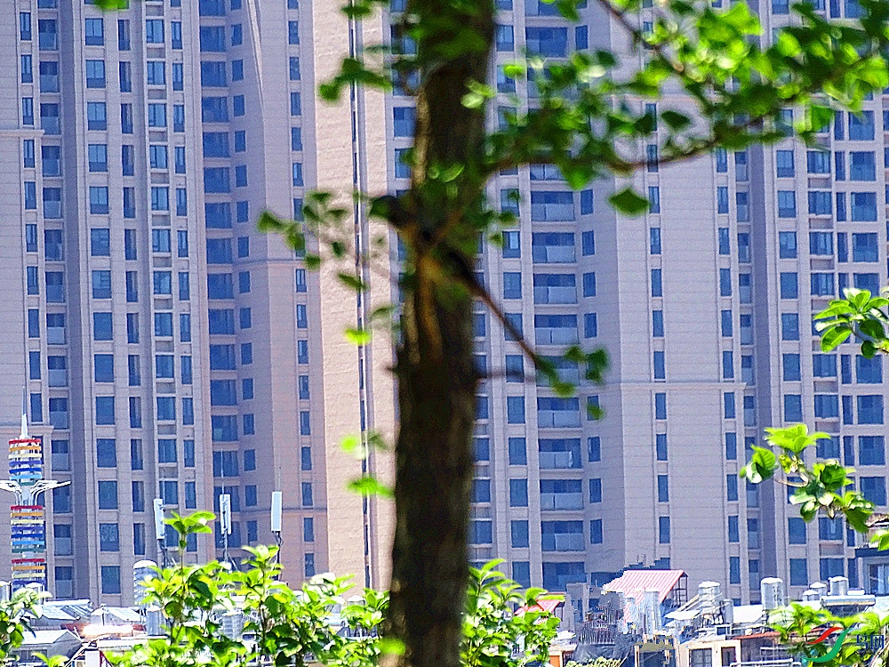 DSC02405.JPG