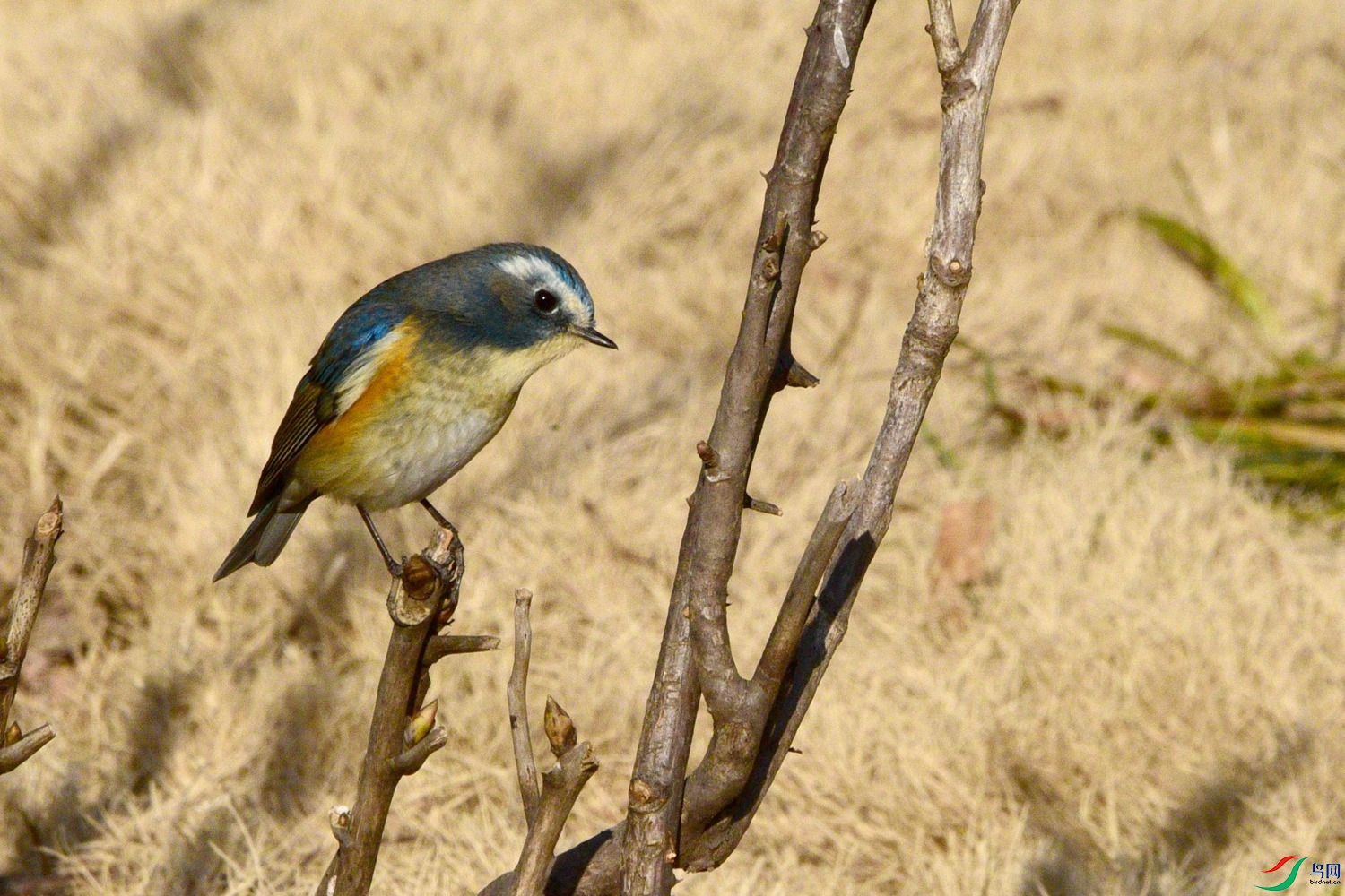 DSC_1506.JPG