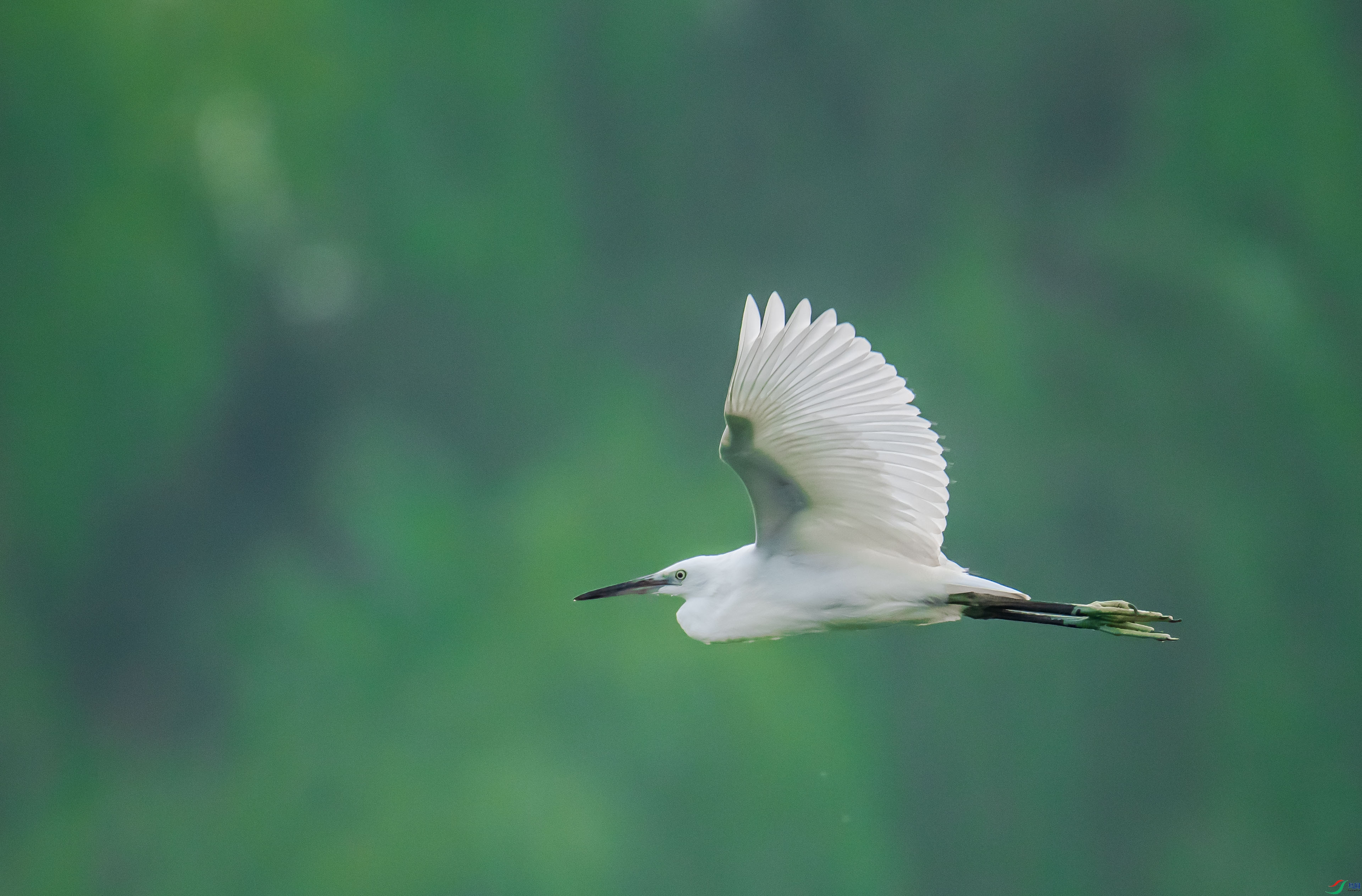 DSC_4088.jpg