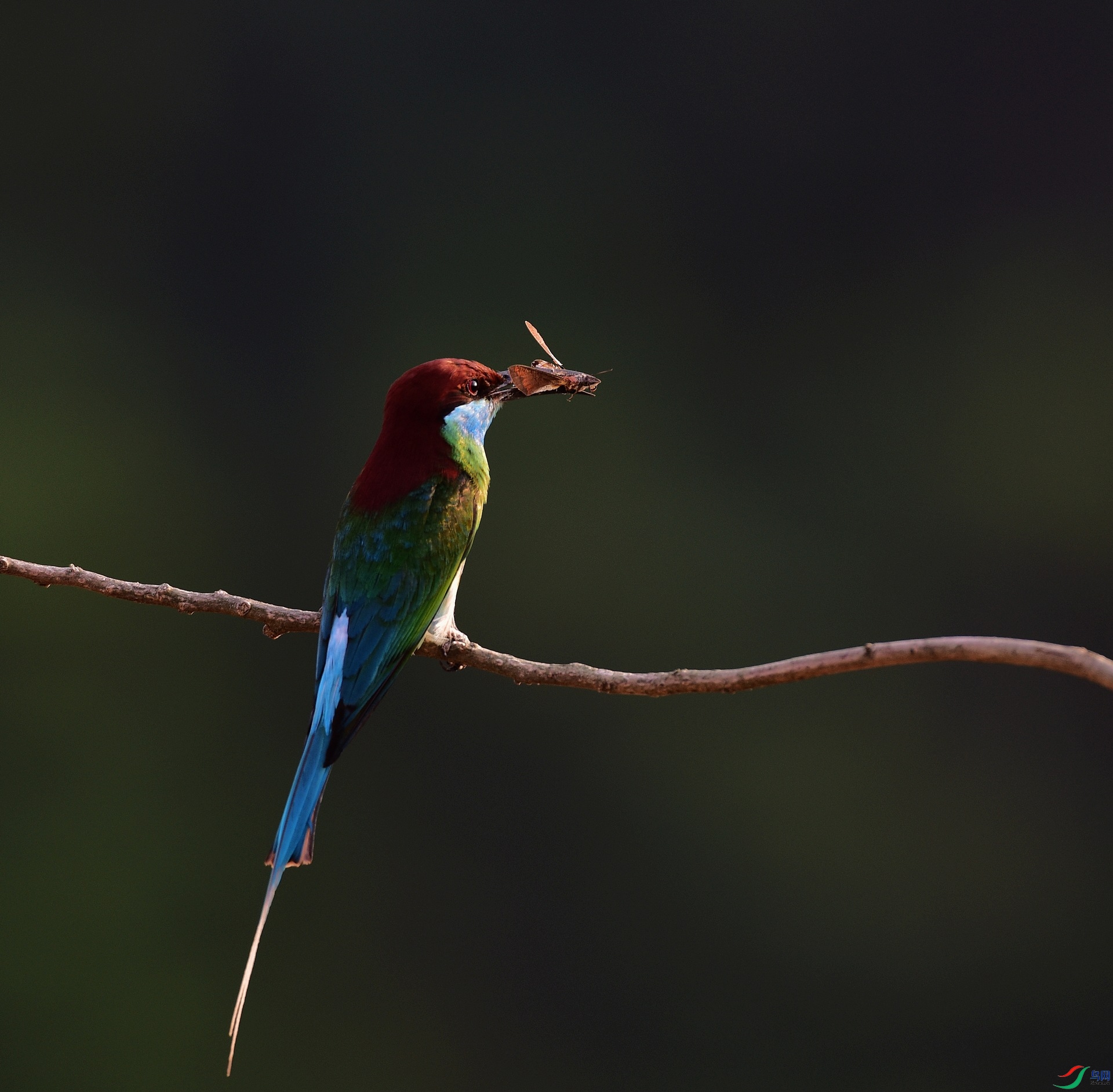 D8I_6153.jpg