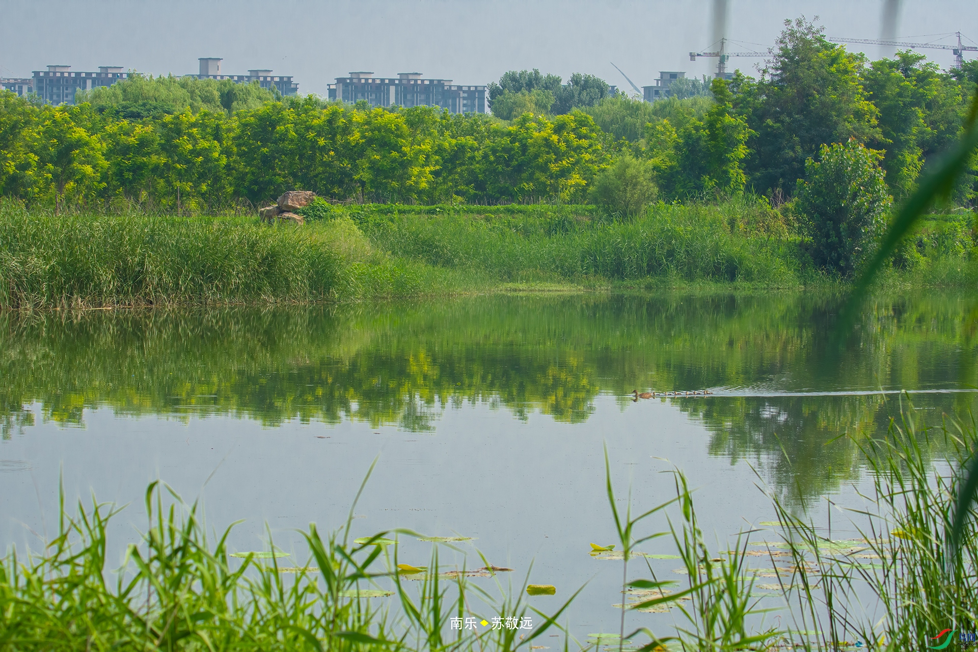 _DSC7497С.jpg