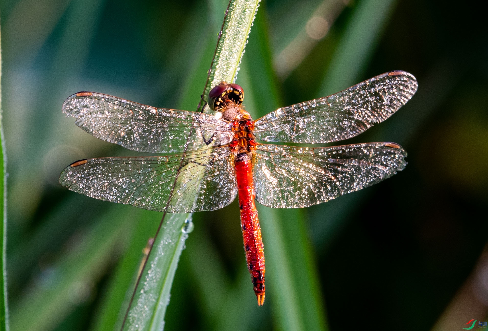 DSC_1356.jpg