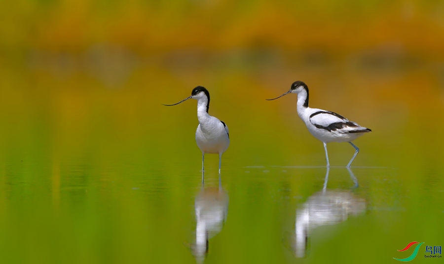 AAC_4399.JPG