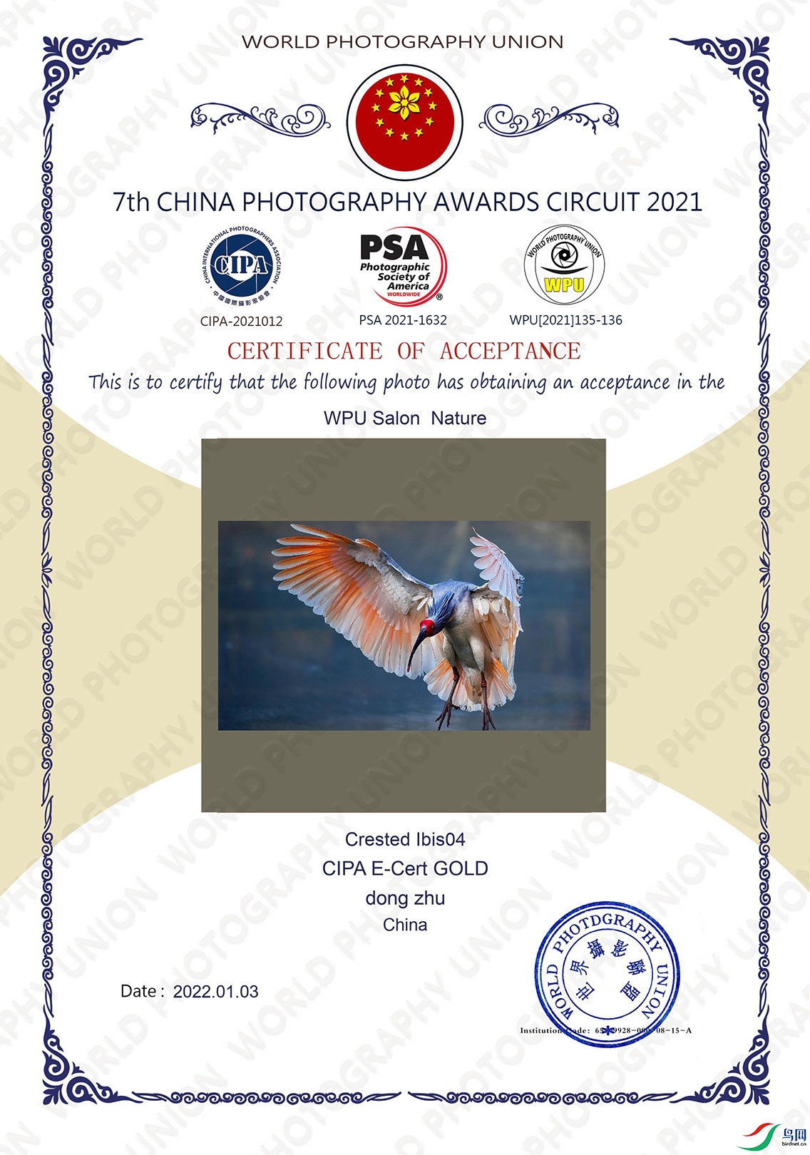1.作品《Crested Ibis04》获得2021第七届中国摄影奖巡回赛CIPA电子证书金奖.jpg