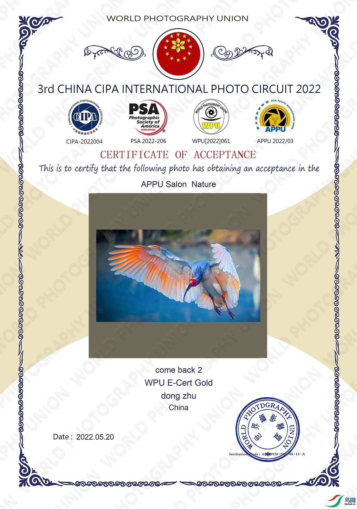 14.作品《归来》分别获得2022第三届中国CIPA国际摄影巡回赛APPU-WPU金奖.jpg
