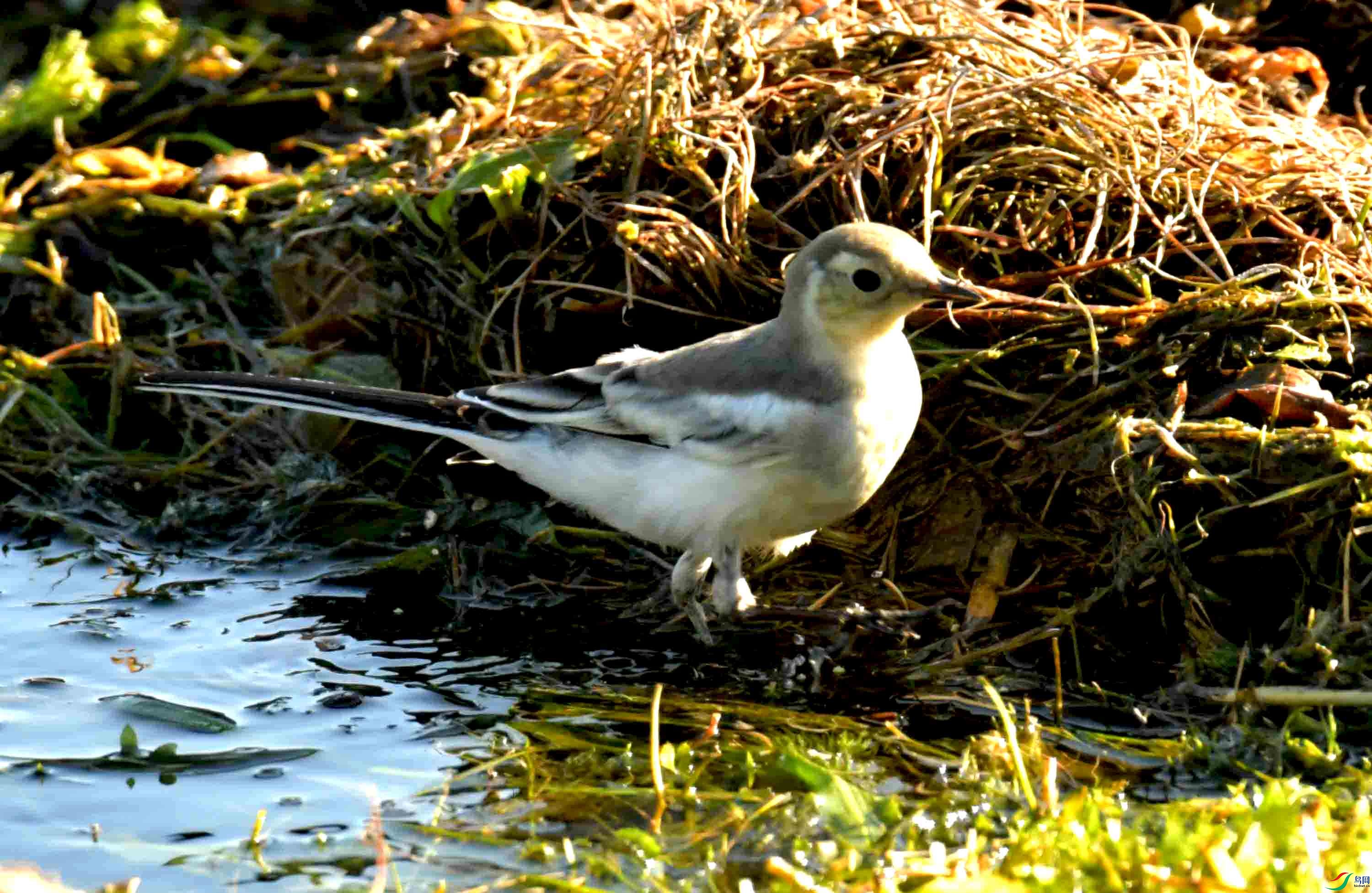 DSC_9814.JPG