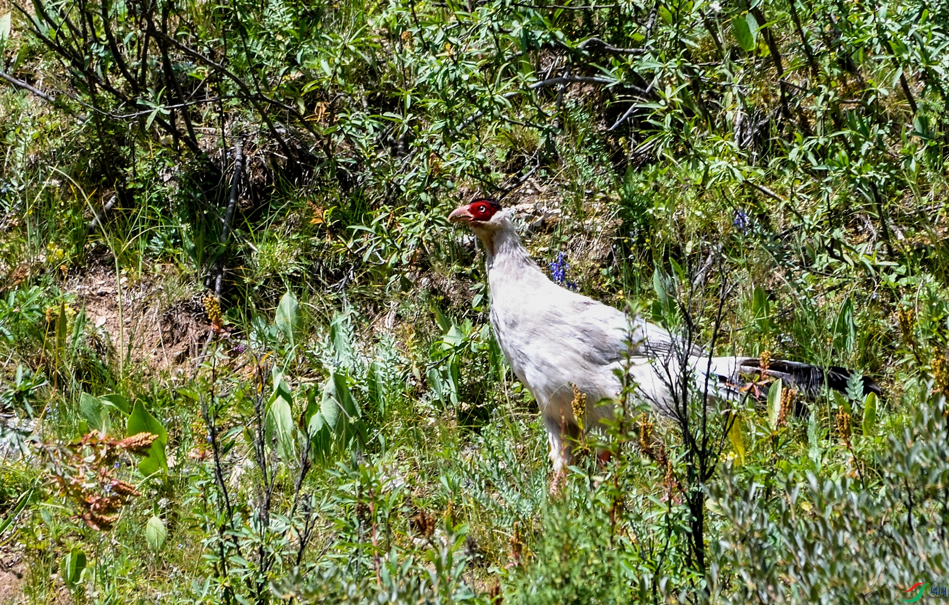 _DSC9521_����.jpg