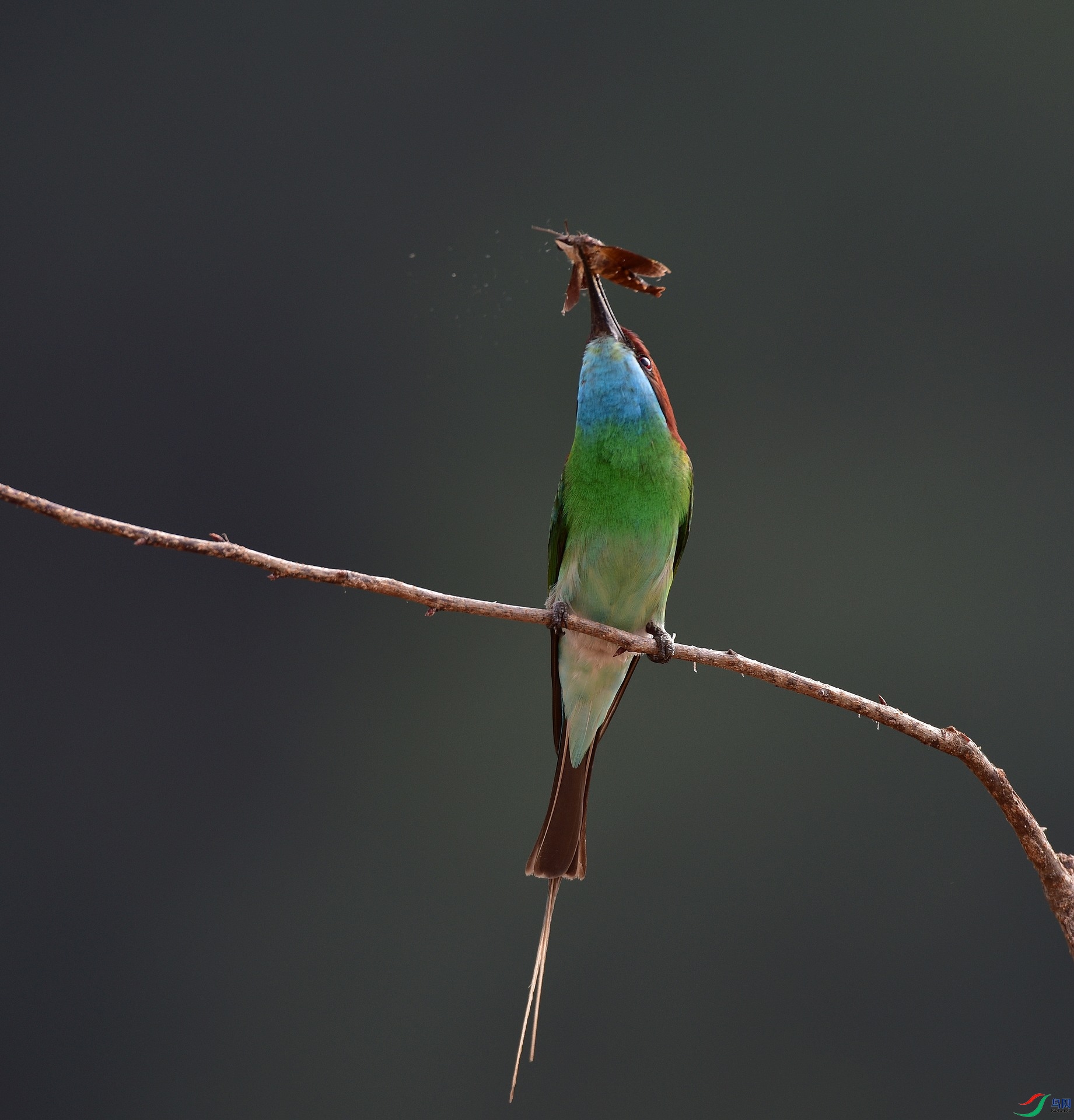 D8I_5119.jpg