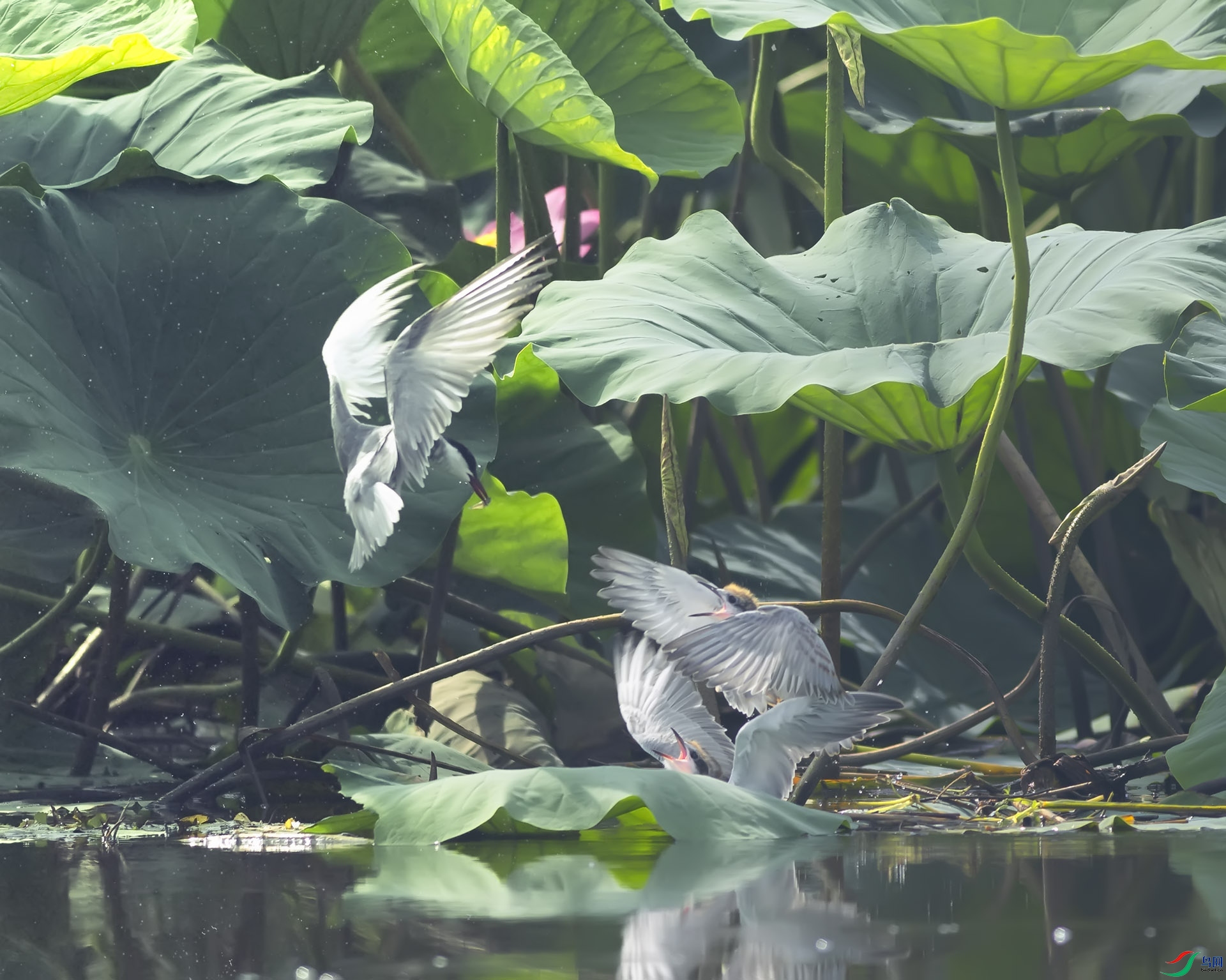 019A1349 ����.jpg