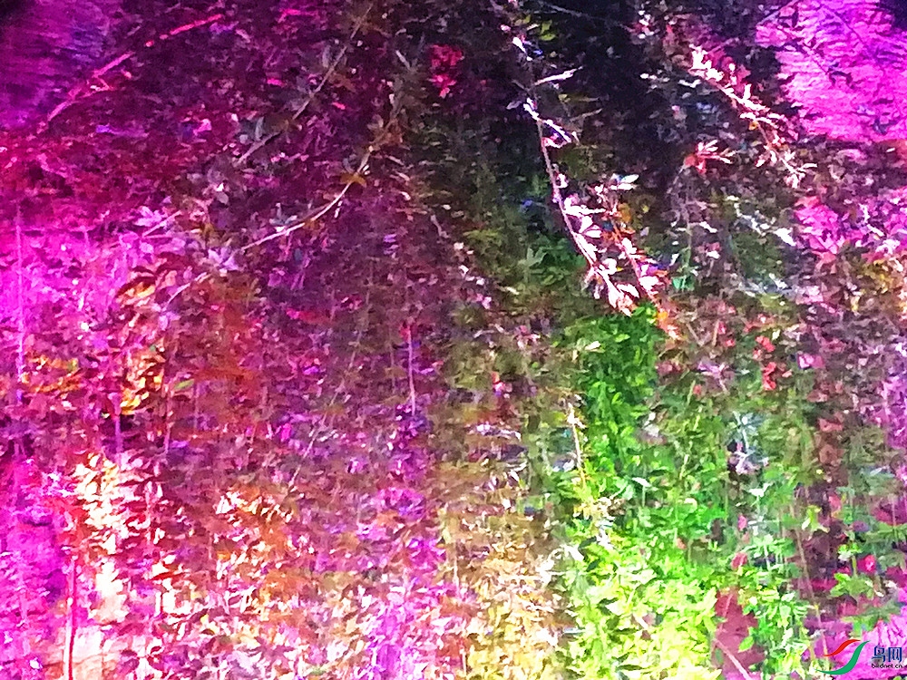 ΢��ͼƬ_20220807121624.jpg
