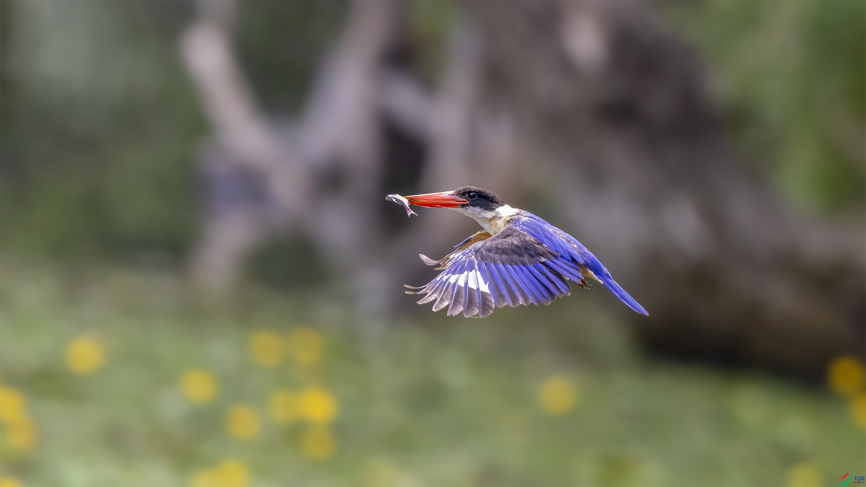 _T0A5276-�༭ ����.jpg