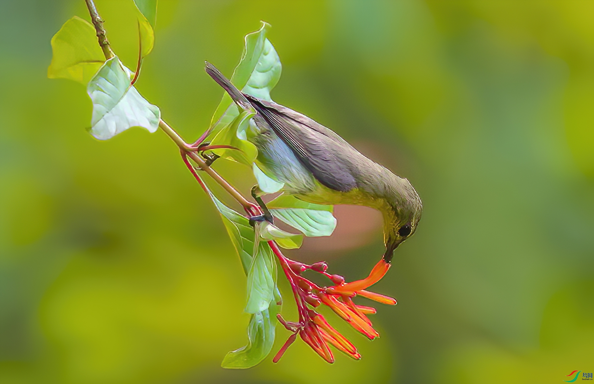 BD1I0710A - ����.jpg