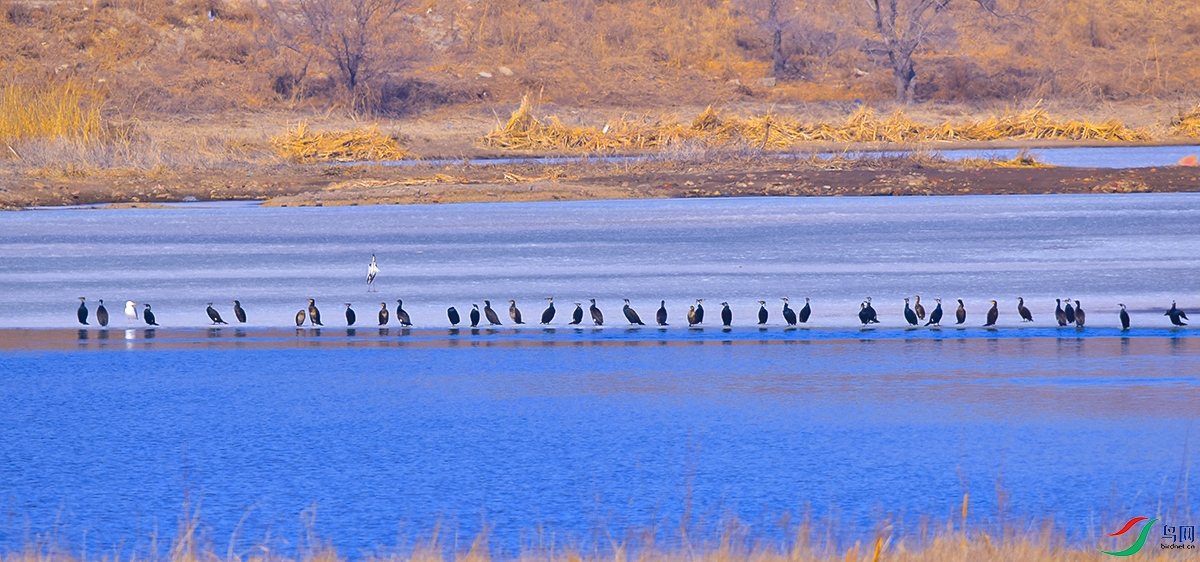 _DSC5290.JPG