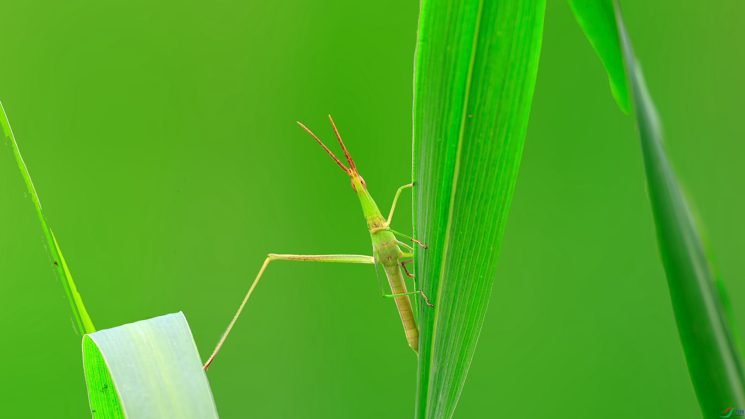 7G9A4851-1_����.jpg