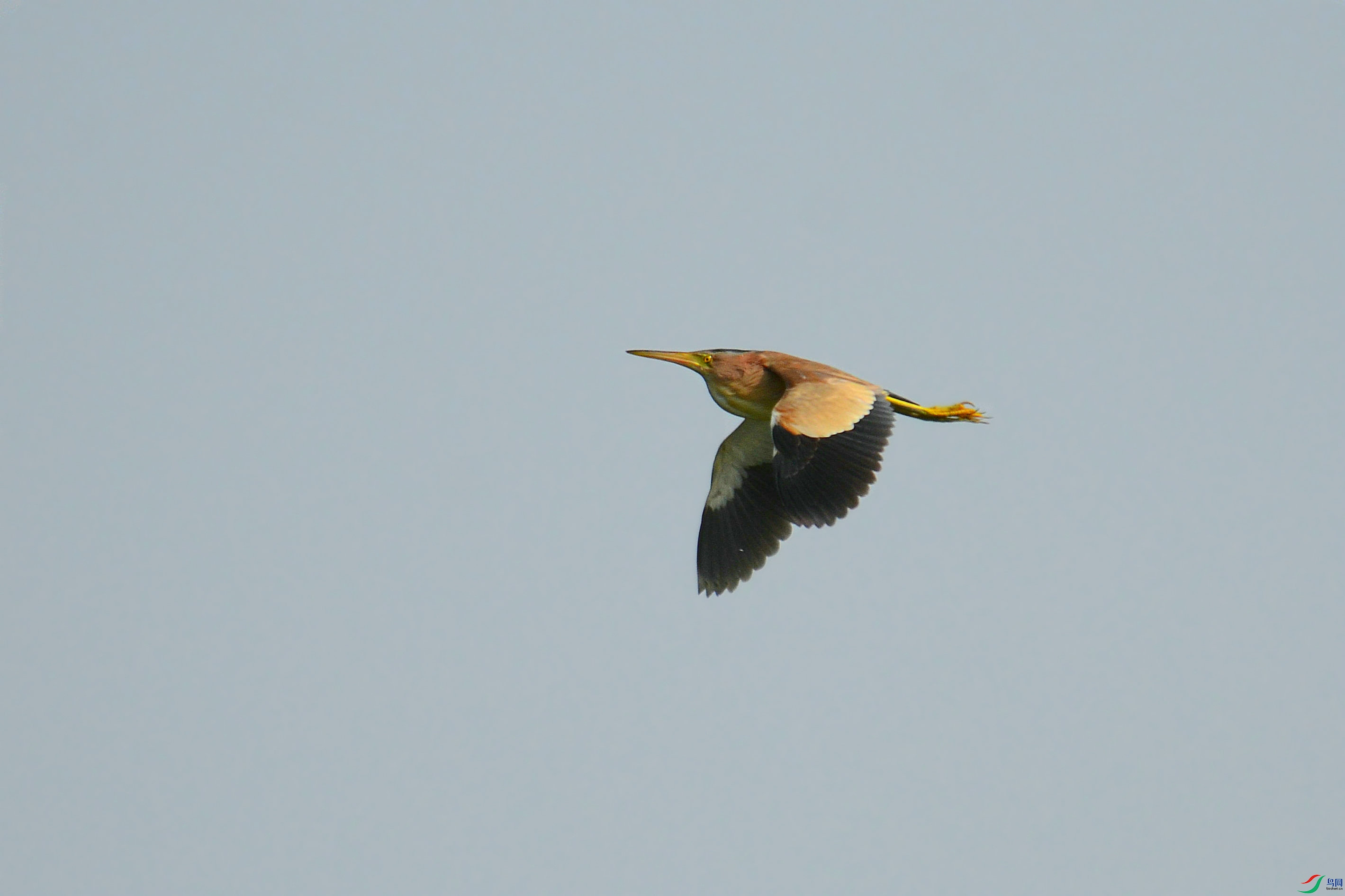 DSC_5602.JPG