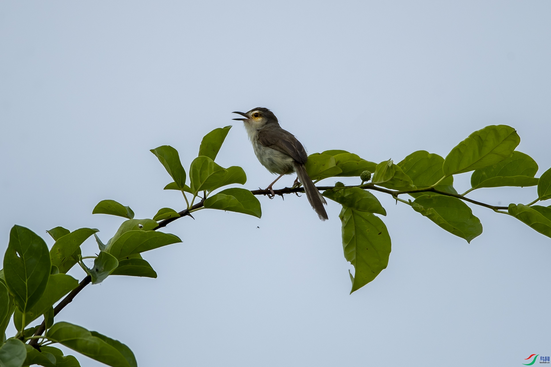 AS7I7028--1.jpg