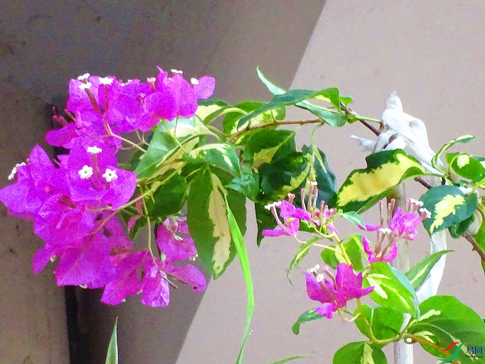 DSC00079_����.jpg