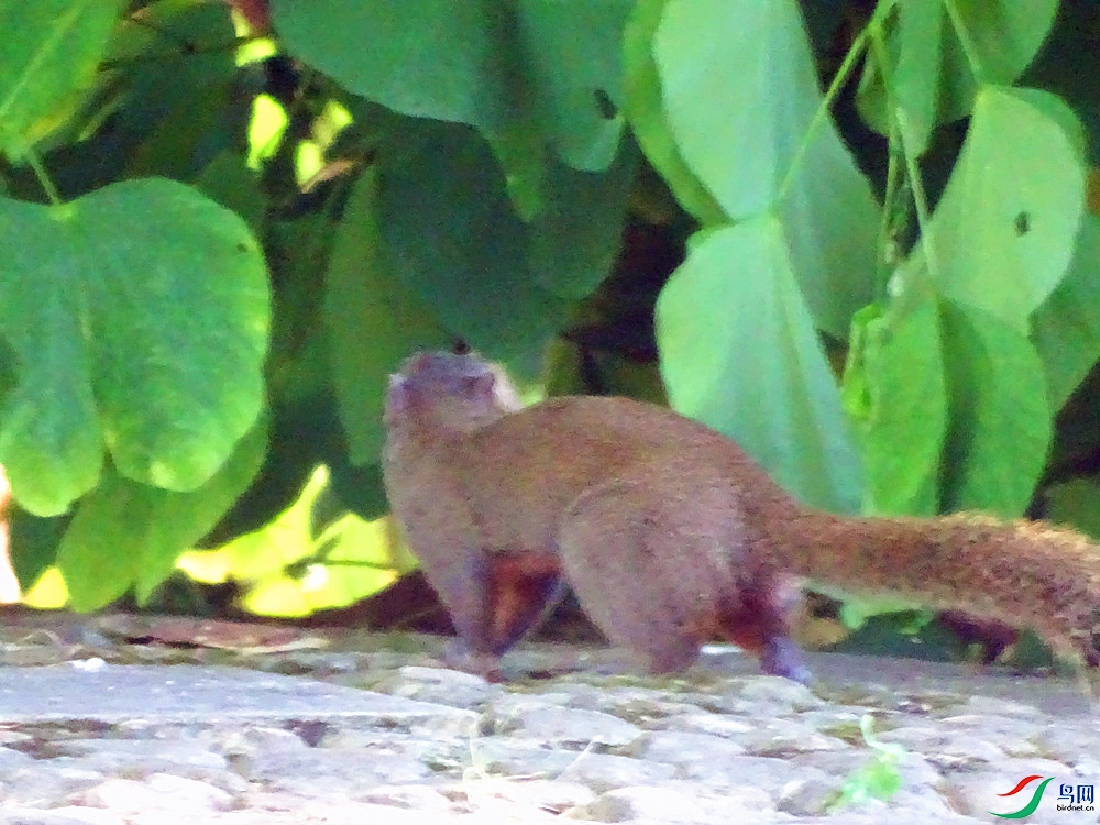 DSC00092_����.jpg
