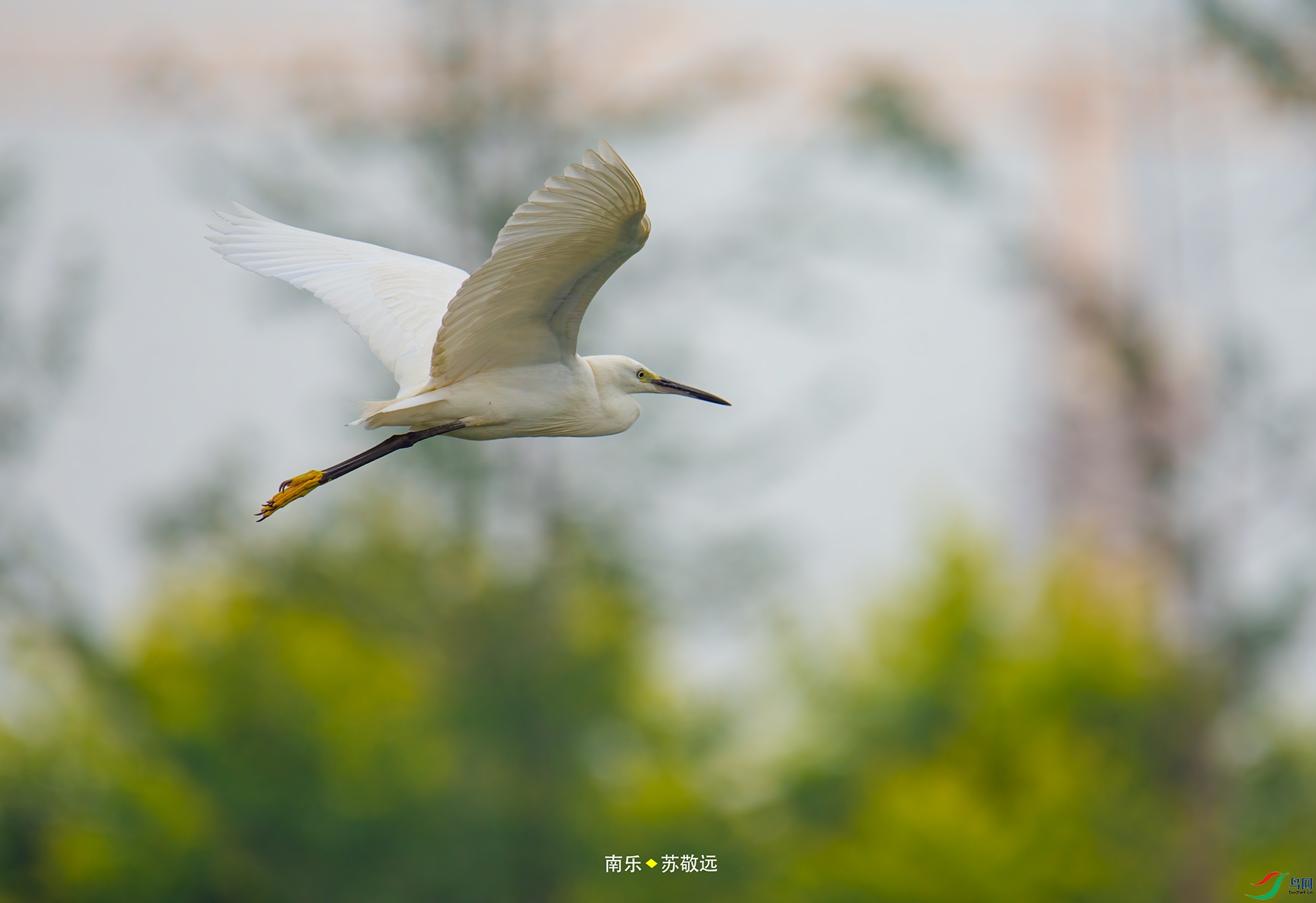 _DSC7640С.jpg