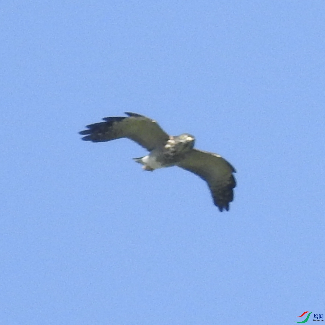 IMG_20220808_180302.jpg