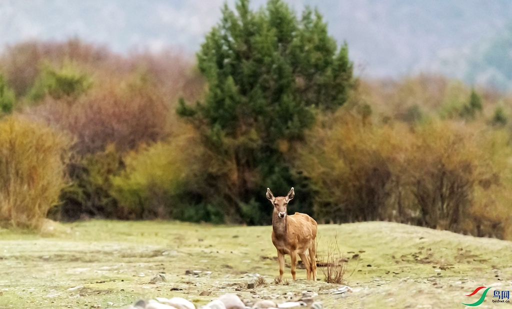 _DSC6229.jpgps4_����_����.jpg