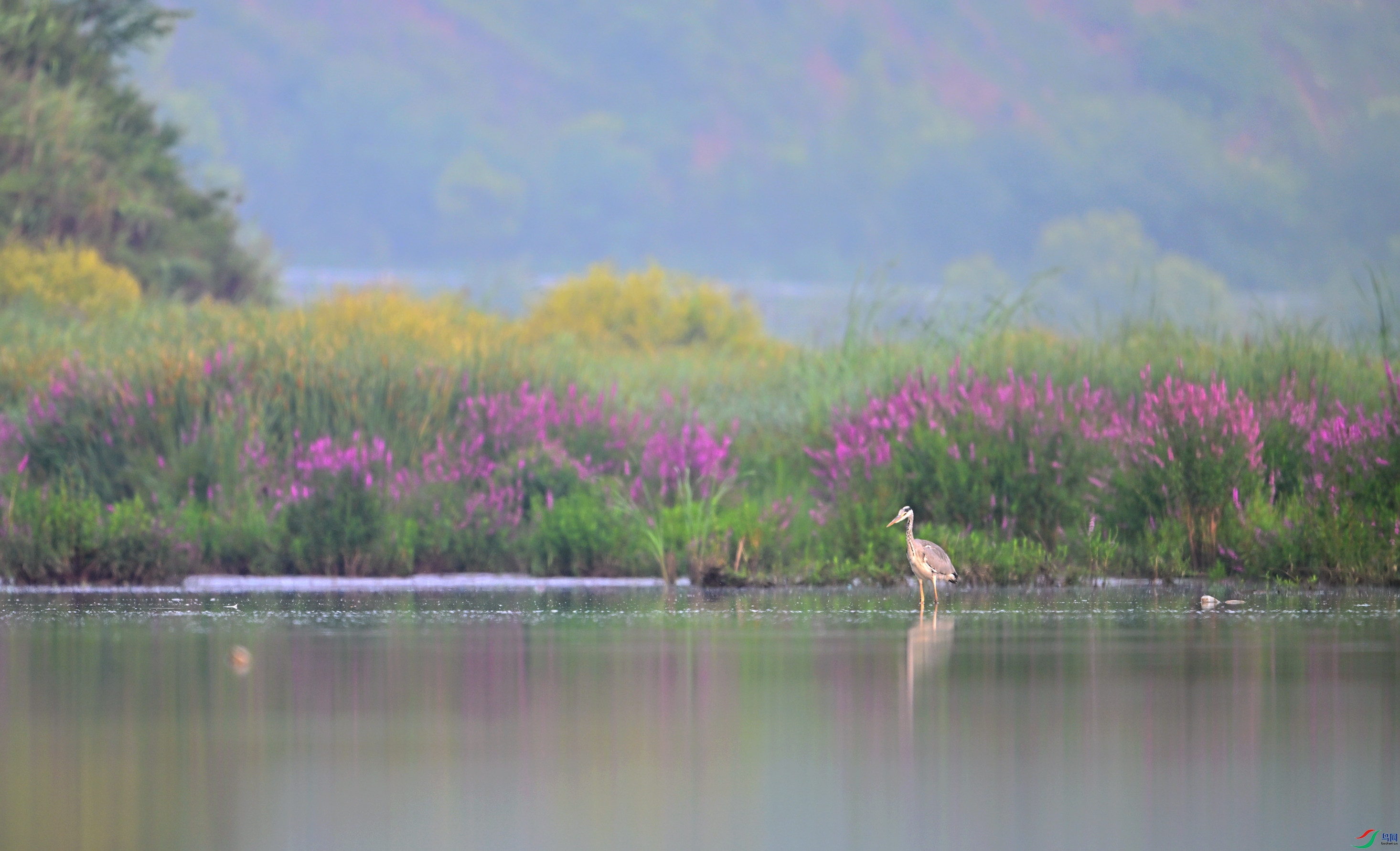 DSC_9828_����.jpg