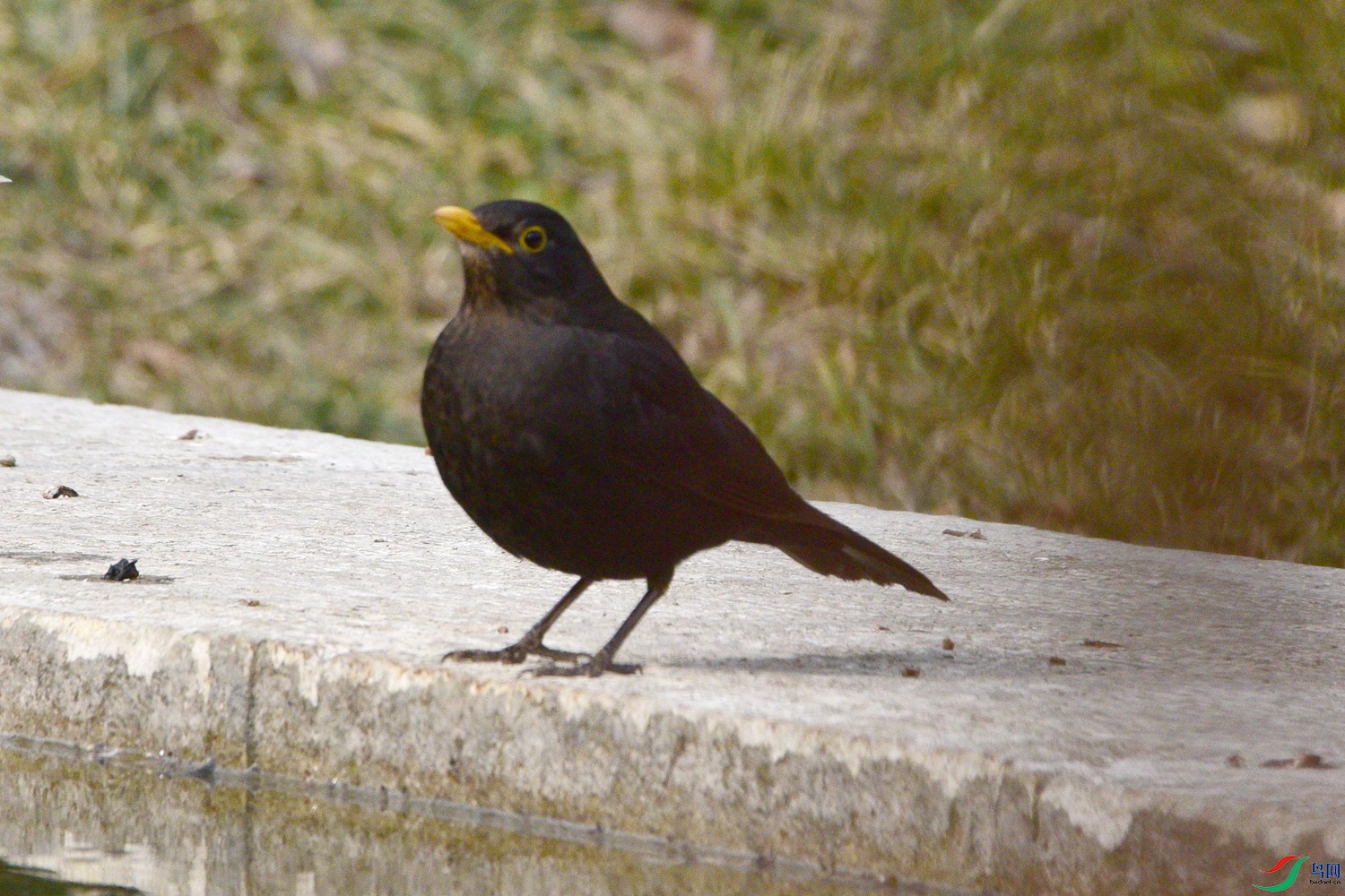 DSC_2511.JPG