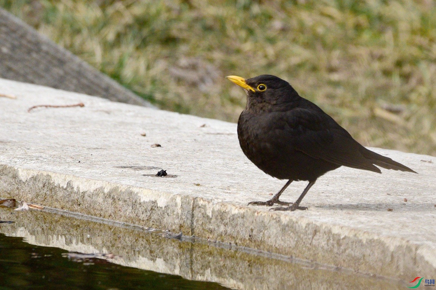 DSC_2522.JPG