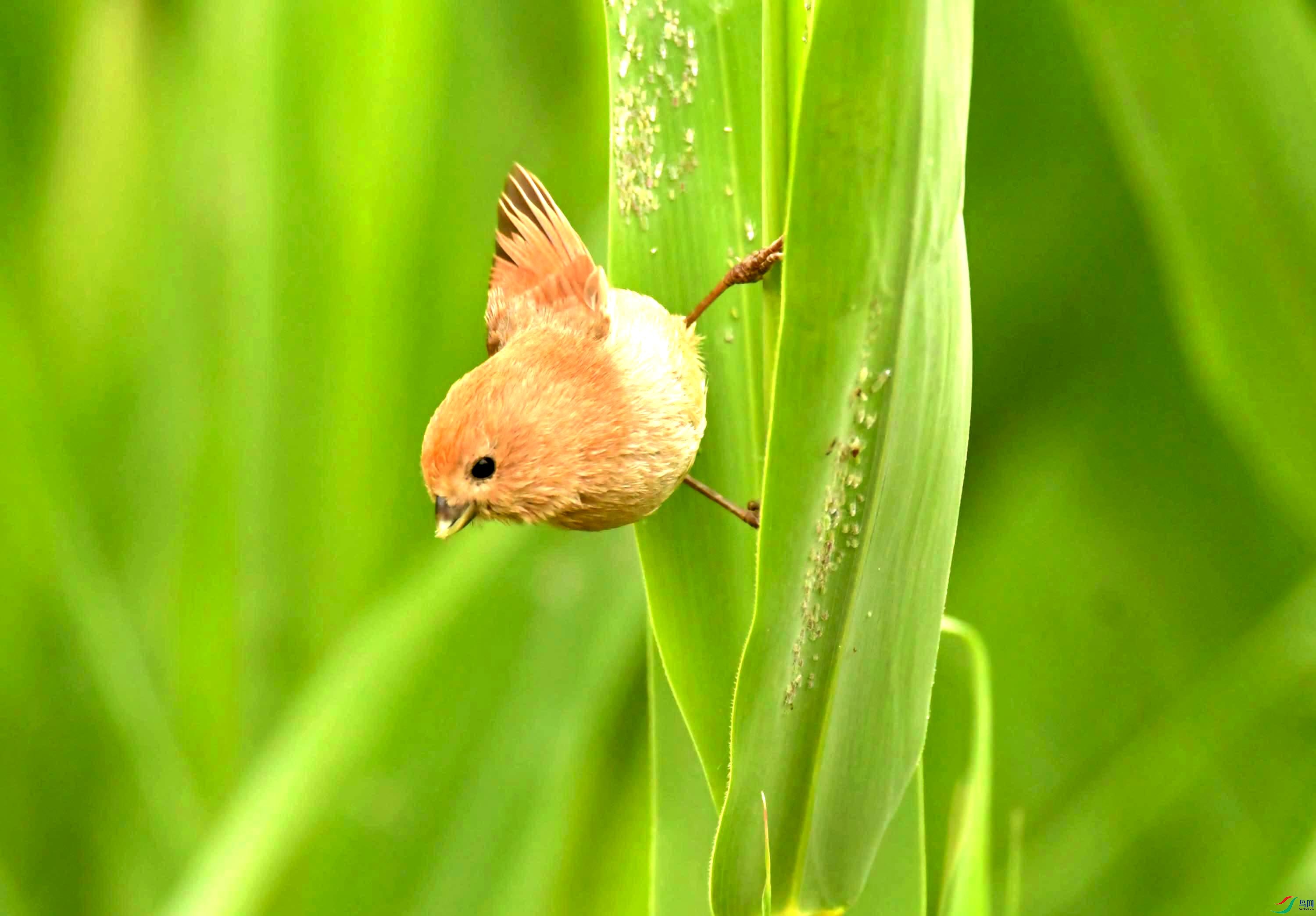 Copy2_NIKON CORPORATION NIKON D500 -5568x3712-10045696.JPEG