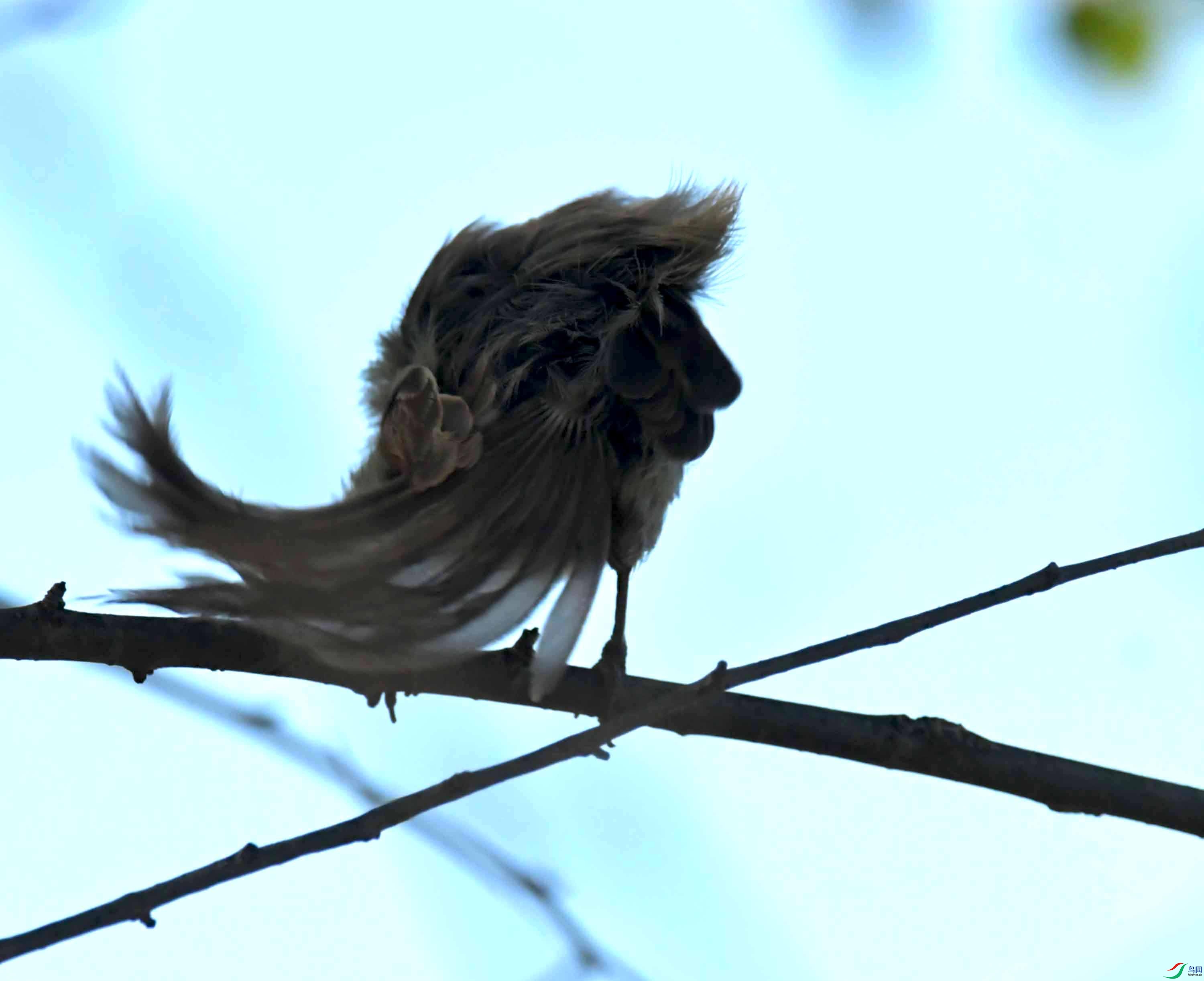 DSC_7638.JPG