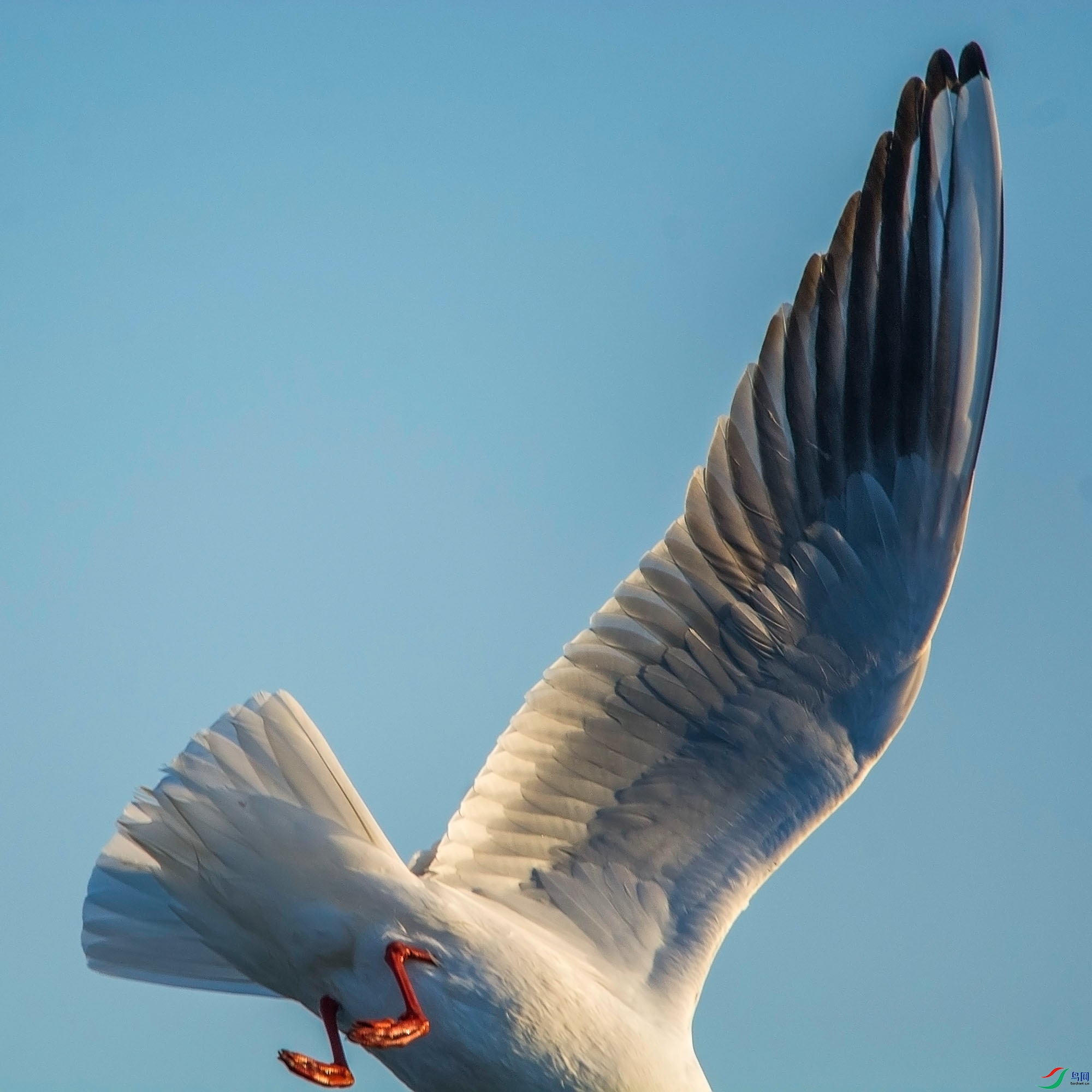hn2018.05.03DSC_5578.jpg
