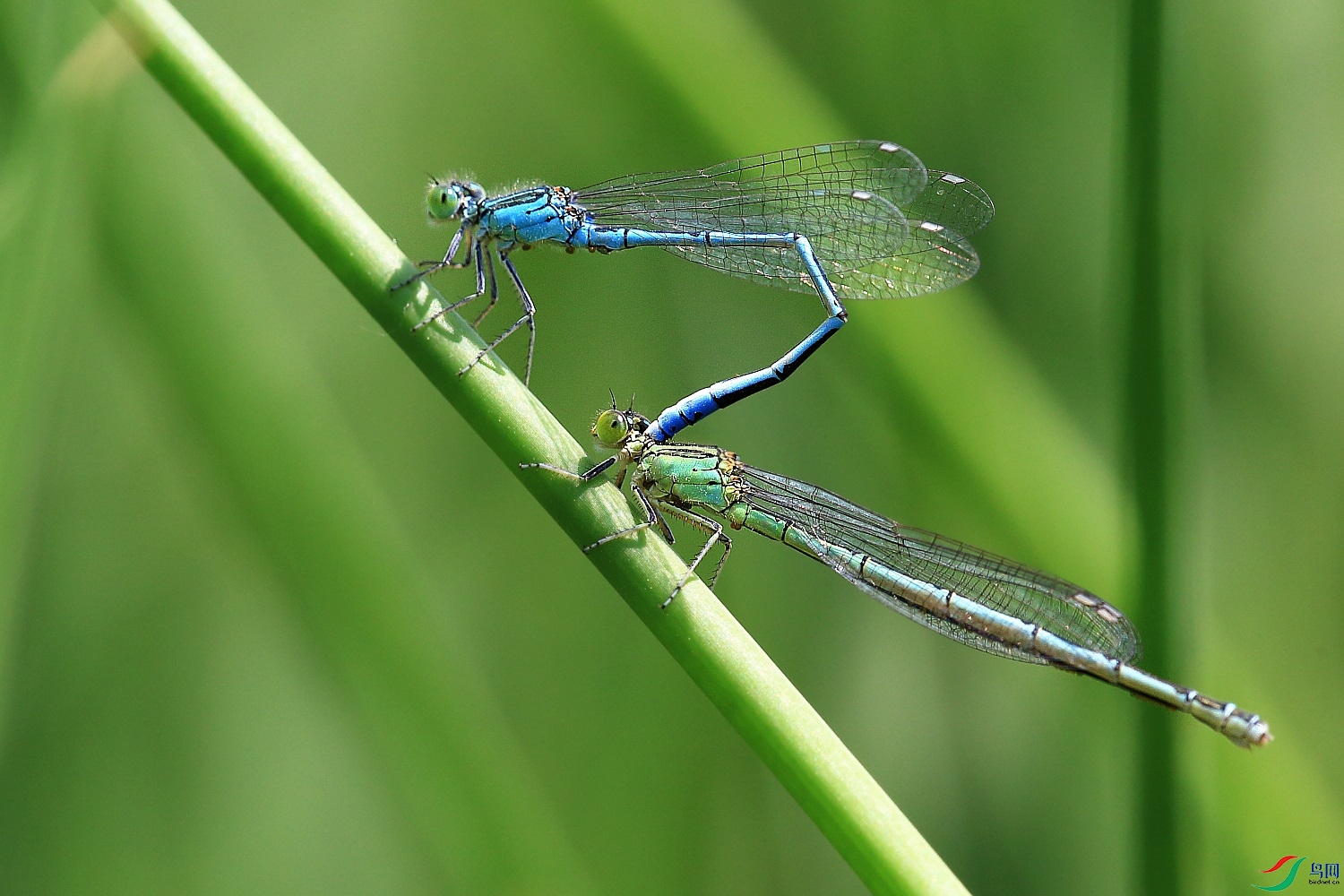 4V0A7770.JPG