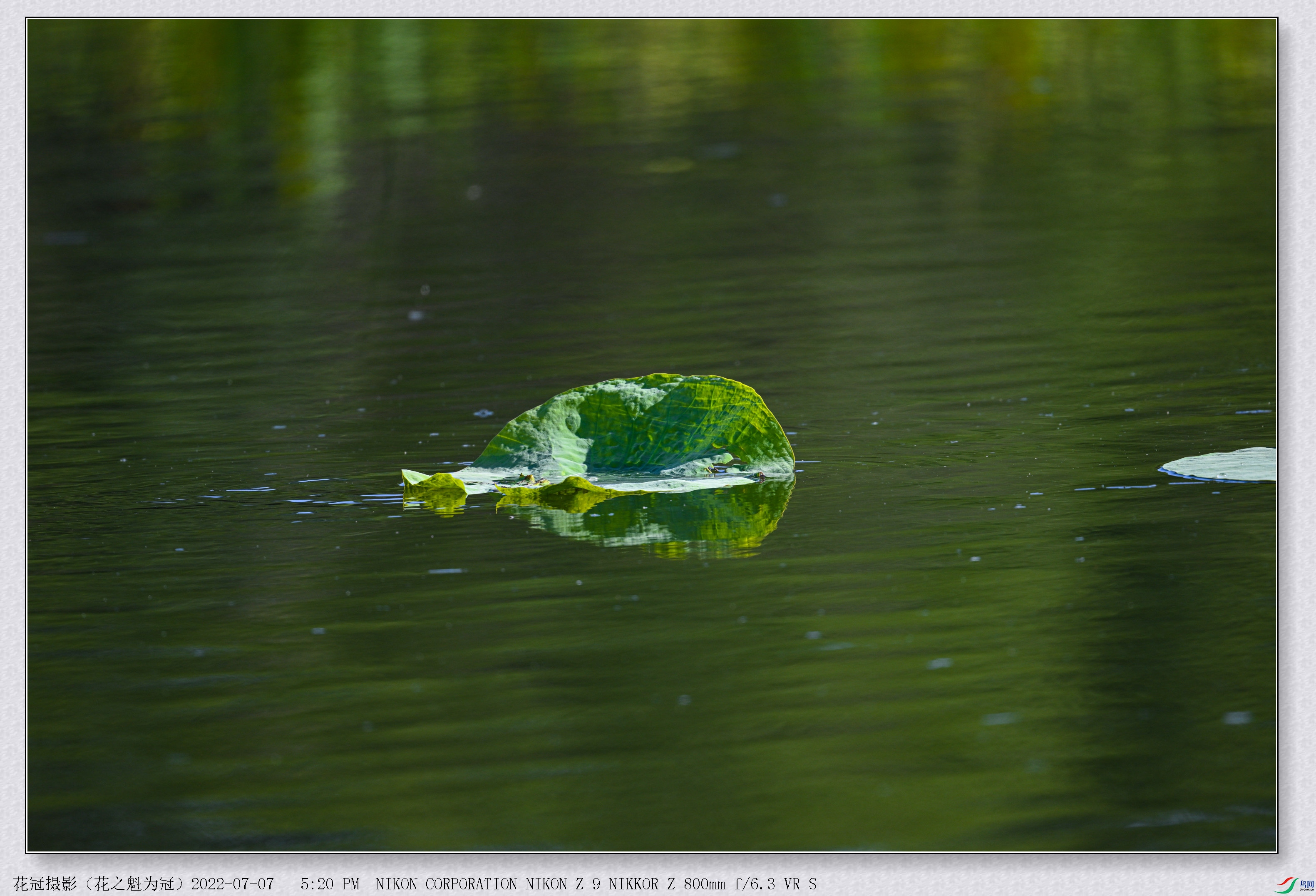 DSC_7882B-1_����.jpg