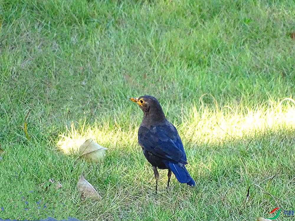 DSC00081_����.jpg