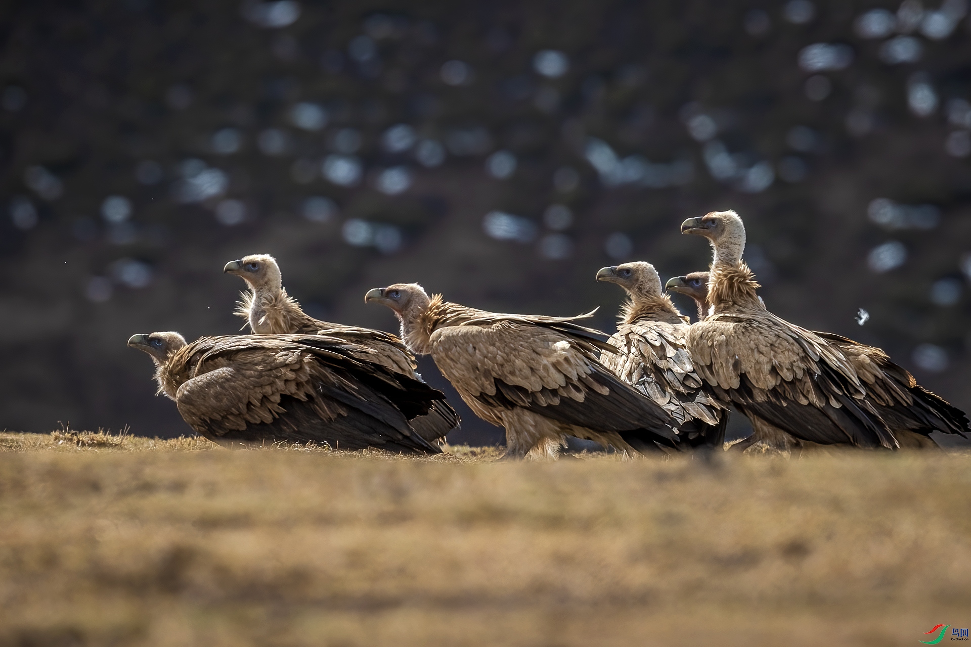 AO4I7488-�༭ ����.jpg