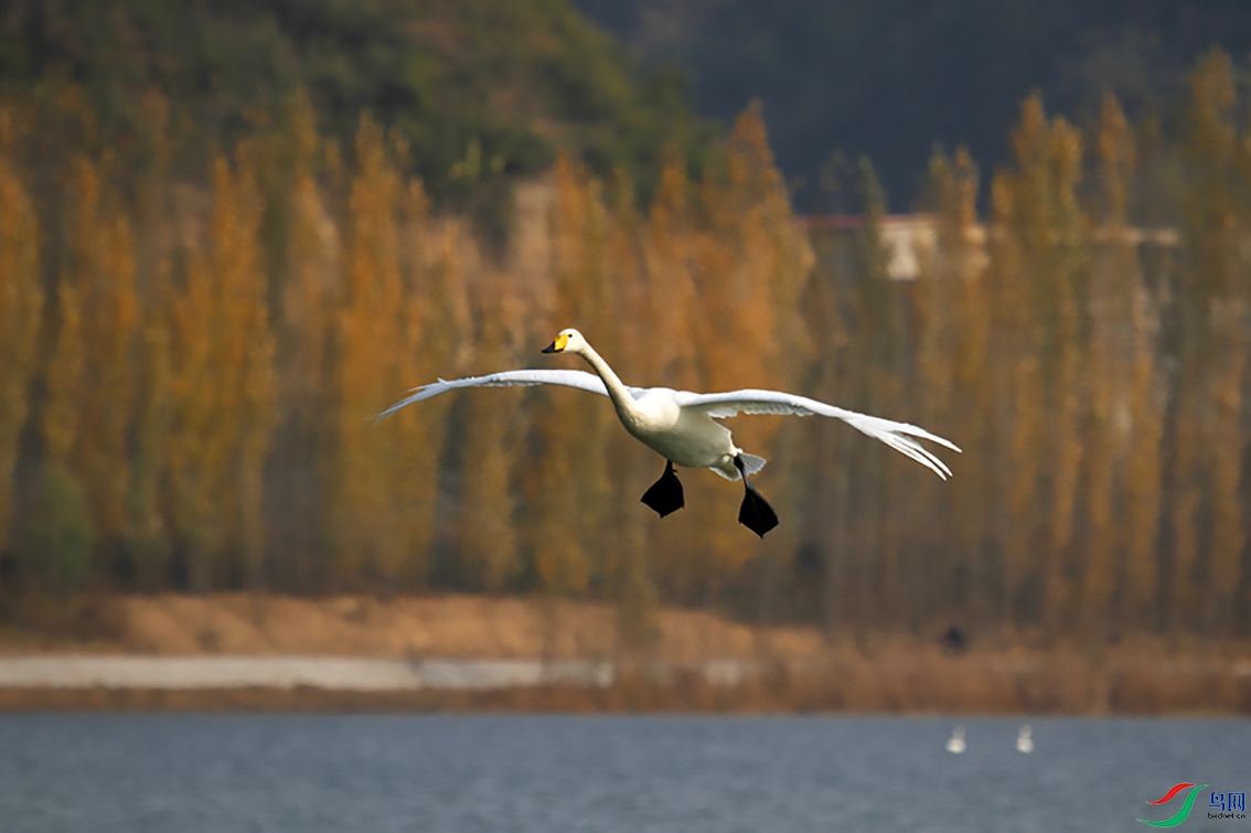 _MG_3007.jpg