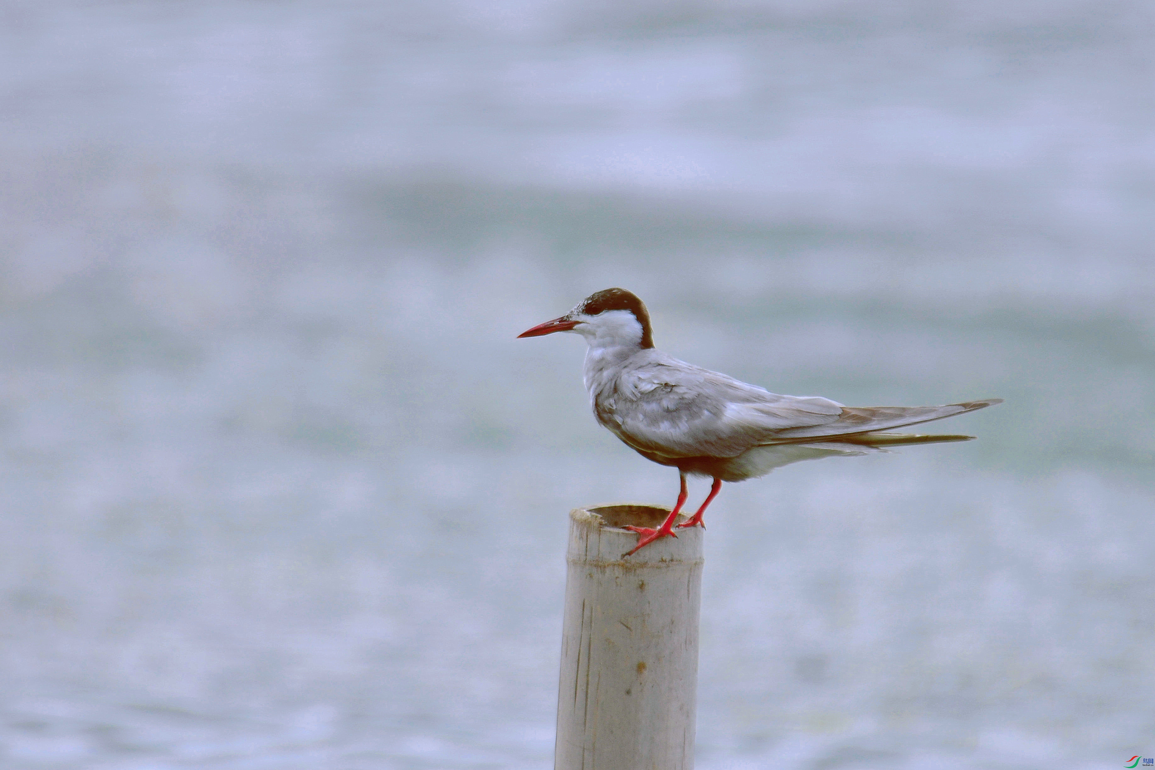DSC_6925.JPG